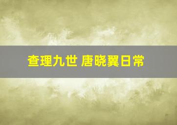 查理九世 唐晓翼日常